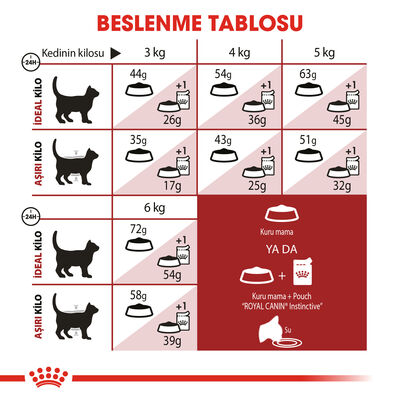 Royal Canin Regular Fit Kedi Maması 10 Kg x 2 Adet + 30 Adet Wooc Lolipop Ödül - 7