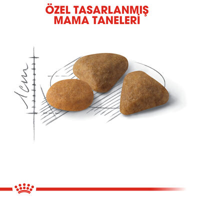 Royal Canin Savour Exigent Seçici Kedi Maması 10 Kg x 2 Adet + 2 Adet 10Lu Lolipop Kedi Ödülü + Temizlik Mendili