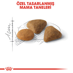 Royal Canin Savour Exigent Seçici Kedi Maması 2 Kg - Thumbnail