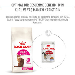 Royal Canin Fussy Exigent Seçici Kedi Maması 4 Kg x 2 Adet + 2 Adet Crocus Cream Ödül 4x15 Gr - Thumbnail