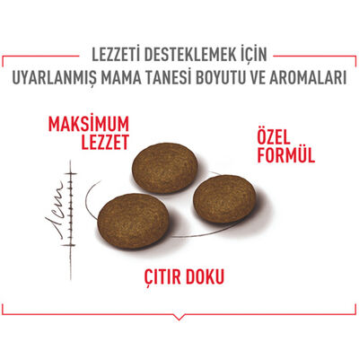 Royal Canin Fussy Exigent Seçici Kedi Maması 400 Gr