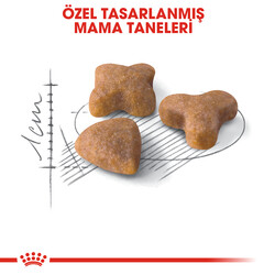 Royal Canin Sensible Hassas Kedi Maması 15 Kg + 10Lu Lolipop Kedi Ödülü - Thumbnail