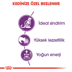 Royal Canin Sensible Hassas Kedi Maması 4 Kg + Wanpy Creamy Treat 5x14 Gr - Thumbnail