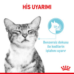 Royal Canin Sensory Feel Pouch Yaş Kedi Maması 85 Gr - BOX - 12 Al 10 Öde - Thumbnail