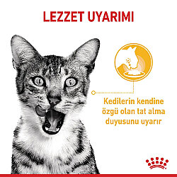 Royal Canin Sensory Feel Pouch Yaş Kedi Maması 85 Gr x 6 Adet - 5