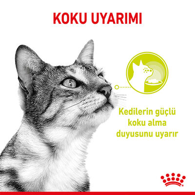 Royal Canin Sensory Smell Pouch Yaş Kedi Maması 85 Gr