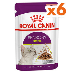 ​Royal Canin Sensory Smell Pouch Yaş Kedi Maması 85 Gr x 6 Adet - Royal Canin