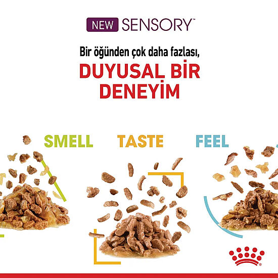 ​Royal Canin Sensory Smell Pouch Yaş Kedi Maması 85 Gr x 6 Adet - 4