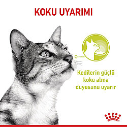 Royal Canin Sensory Taste Pouch Yaş Kedi Maması 85 Gr - 5