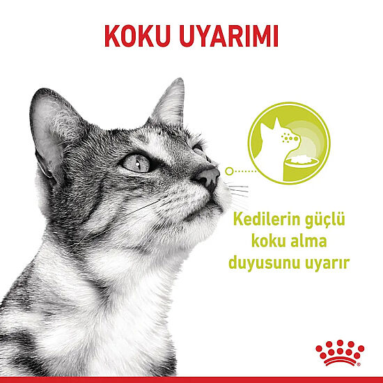 Royal Canin Sensory Taste Pouch Yaş Kedi Maması 85 Gr - 5