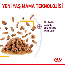 Royal Canin Sensory Taste Pouch Yaş Kedi Maması 85 Gr - Thumbnail