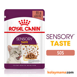 Royal Canin Sensory Taste Pouch Yaş Kedi Maması 85 Gr - Thumbnail
