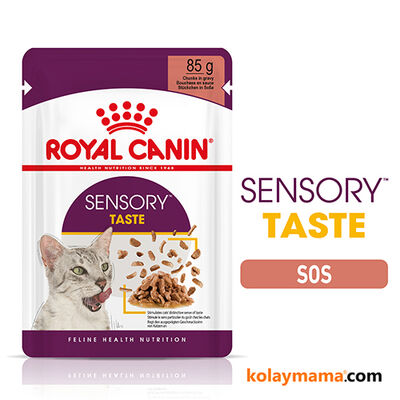 Royal Canin Sensory Taste Pouch Yaş Kedi Maması 85 Gr