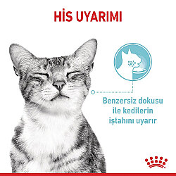 Royal Canin Sensory Taste Pouch Yaş Kedi Maması 85 Gr x 6 Adet - 5