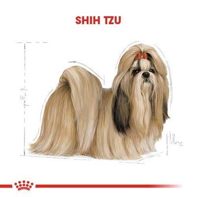 Royal Canin Shih Tzu Adult Yetişkin Köpek Irk Maması 1,5 Kg + Bez Çanta