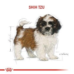 Royal Canin Shih Tzu Puppy Yavru Köpek Irk Maması 1,5 Kg + Temizlik Mendili - Thumbnail