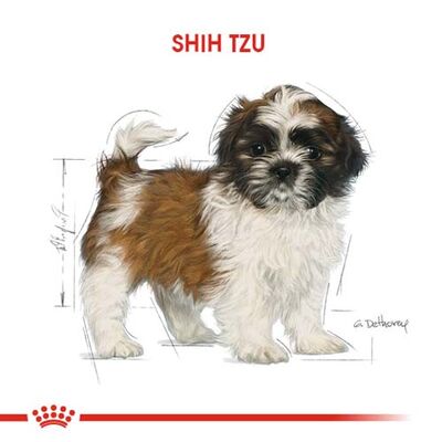 Royal Canin Shih Tzu Puppy Yavru Köpek Irk Maması 1,5 Kg