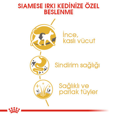 Royal Canin Siamese Siyam Kedilerine Özel Mama 2 Kg + Wanpy Creamy Treat 5x14 Gr