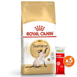 Royal Canin Siamese Siyam Kedilerine Özel Mama 2 Kg + 5 Adet Wooc Lolipop Ödül - Royal Canin