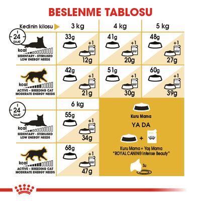 Royal Canin Siamese Siyam Kedilerine Özel Mama 2 Kg + Bez Çanta