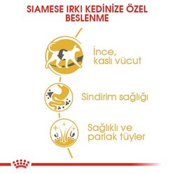 Royal Canin Siamese Siyam Kedilerine Özel Mama 2 Kg x 2 Adet + Temizlik Mendili - 3