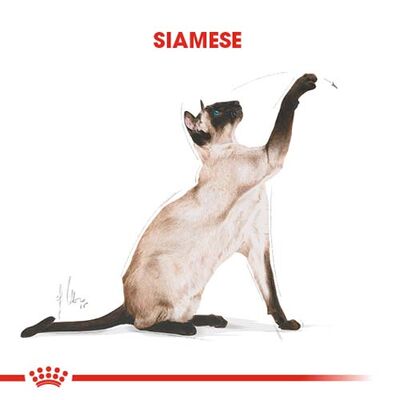 Royal Canin Siamese Siyam Kedilerine Özel Mama 2 Kg x 2 Adet