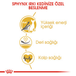 Royal Canin Sphynx Özel Irk Yetişkin Kedi Maması 2 Kg + 5 Adet Wooc Lolipop Ödül - 4