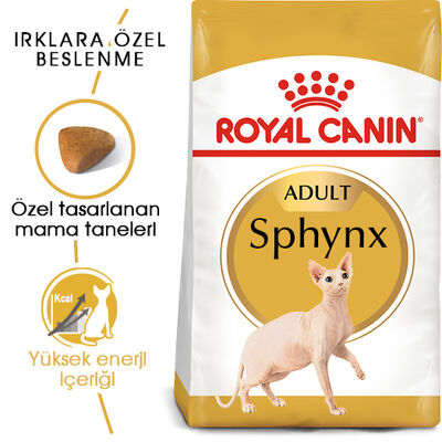 Royal Canin Sphynx Özel Irk Yetişkin Kedi Maması 2 Kg + Temizlik Mendili