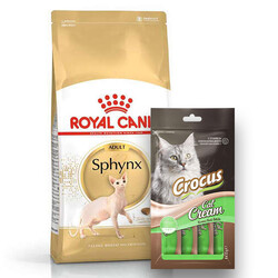 Royal Canin - Royal Canin Sphynx Özel Irk Yetişkin Kedi Maması 2 Kg + Crocus Cream Ödül 4x15 Gr