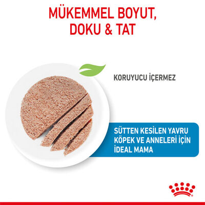 Royal Canin Starter Mousse Anne ve Yavruları İçin Köpek Konservesi 195 Gr - 4