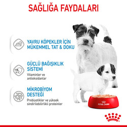 Royal Canin Starter Mousse Anne ve Yavruları İçin Köpek Konservesi 195 Gr - 5