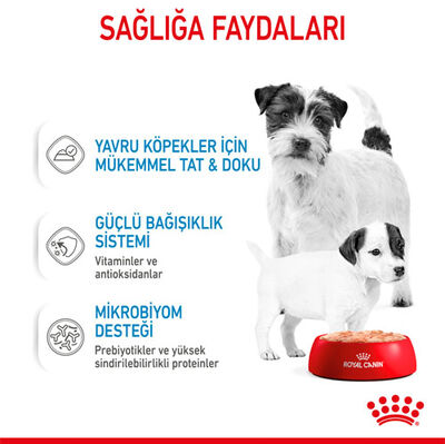 Royal Canin Starter Mousse Anne ve Yavruları İçin Köpek Konservesi 195 Gr - 5