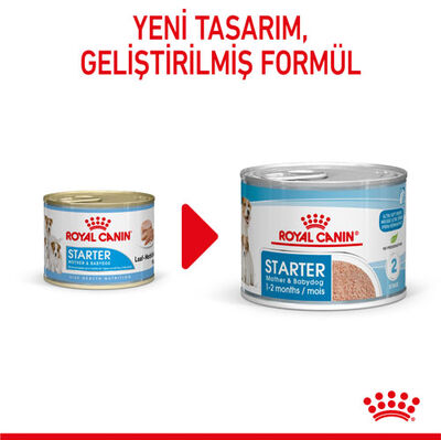 Royal Canin Starter Mousse Anne ve Yavruları İçin Köpek Konservesi 195 Gr