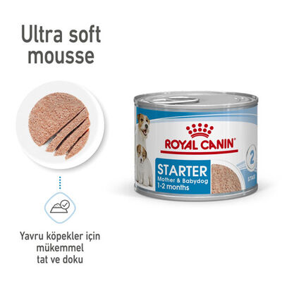 Royal Canin Starter Mousse Anne ve Yavruları İçin Köpek Konservesi 195 Gr