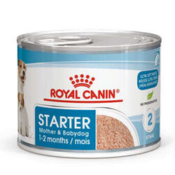 Royal Canin - Royal Canin Starter Mousse Anne ve Yavruları İçin Köpek Konservesi 195 Gr (1)