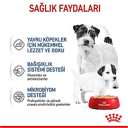 Royal Canin Starter Mousse Anne ve Yavruları İçin Köpek Konservesi 195 Gr x 12 Adet - 4