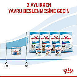 Royal Canin Starter Mousse Anne ve Yavruları İçin Köpek Konservesi 195 Gr x 12 Adet - 5