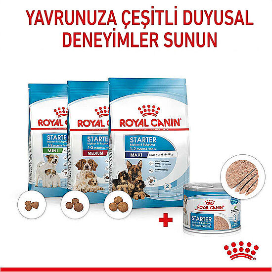 Royal Canin Starter Mousse Anne ve Yavruları İçin Köpek Konservesi 195 Gr x 12 Adet - 6