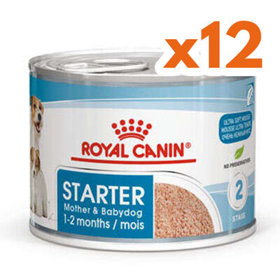 Royal Canin Starter Mousse Anne ve Yavruları İçin Köpek Konservesi 195 Gr x 12 Adet