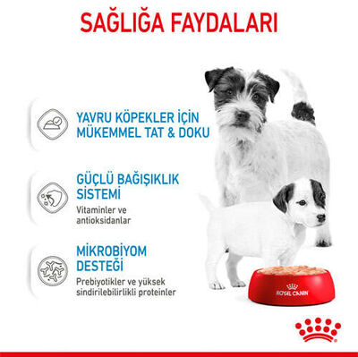 Royal Canin Starter Mousse Anne ve Yavruları İçin Köpek Konservesi 195 Gr x 12 Adet