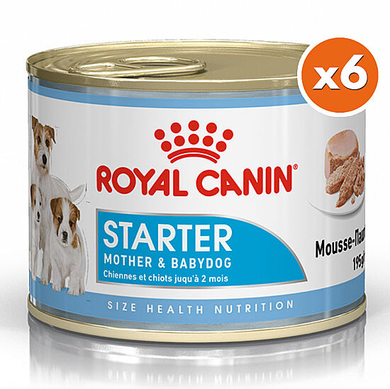 Royal Canin Starter Mousse Anne ve Yavruları İçin Köpek Konservesi 195 Gr x 6 Adet - 1