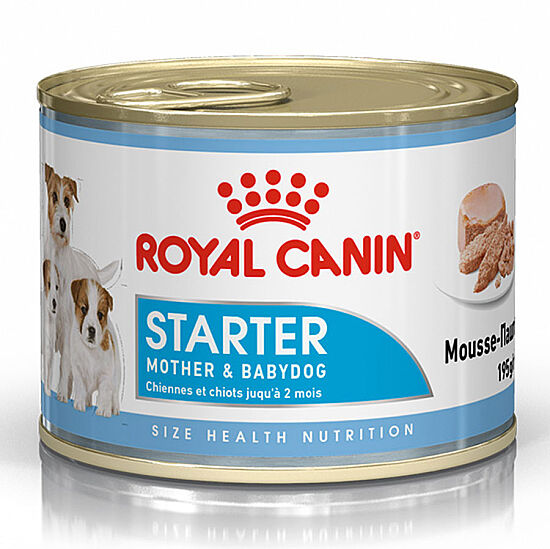 Royal Canin Starter Mousse Anne ve Yavruları İçin Köpek Konservesi 195 Gr x 6 Adet - 2