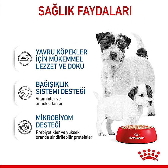 Royal Canin Starter Mousse Anne ve Yavruları İçin Köpek Konservesi 195 Gr x 6 Adet - 3