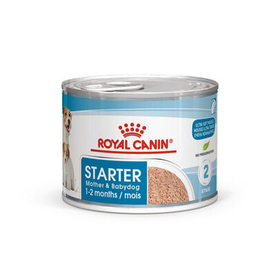 Royal Canin Starter Mousse Anne ve Yavruları İçin Köpek Konservesi 195 Gr x 6 Adet