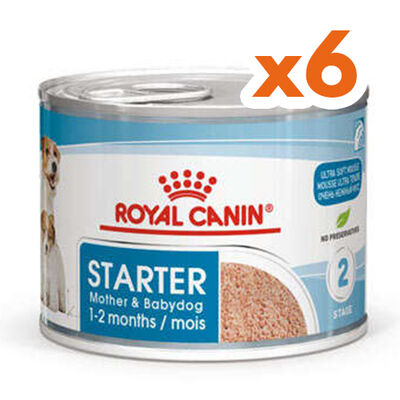 Royal Canin Starter Mousse Anne ve Yavruları İçin Köpek Konservesi 195 Gr x 6 Adet