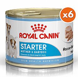 Royal Canin Starter Mousse Anne ve Yavruları İçin Köpek Konservesi 195 Gr x 6 Adet - Royal Canin