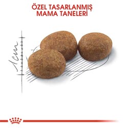 Royal Canin Sterilised Kısırlaştırılmış Kedi Maması 8+2 Kg (Toplam 10 Kg) + 15 Adet Wooc Lolipop Ödül - 8