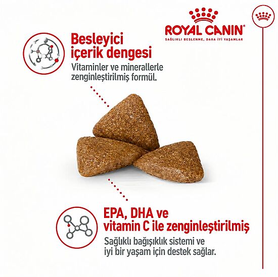 Royal Canin X-Small Ageing 12 Yaş Üzeri Yaşlı Köpek Maması 1,5 Kg + Temizlik Mendili - 3