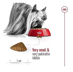 Royal Canin X-Small Ageing 12 Yaş Üzeri Yaşlı Köpek Maması 1,5 Kg + Temizlik Mendili - 6