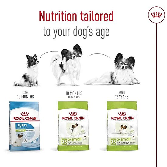 Royal Canin X-Small Ageing 12 Yaş Üzeri Yaşlı Köpek Maması 1,5 Kg + Temizlik Mendili - 5